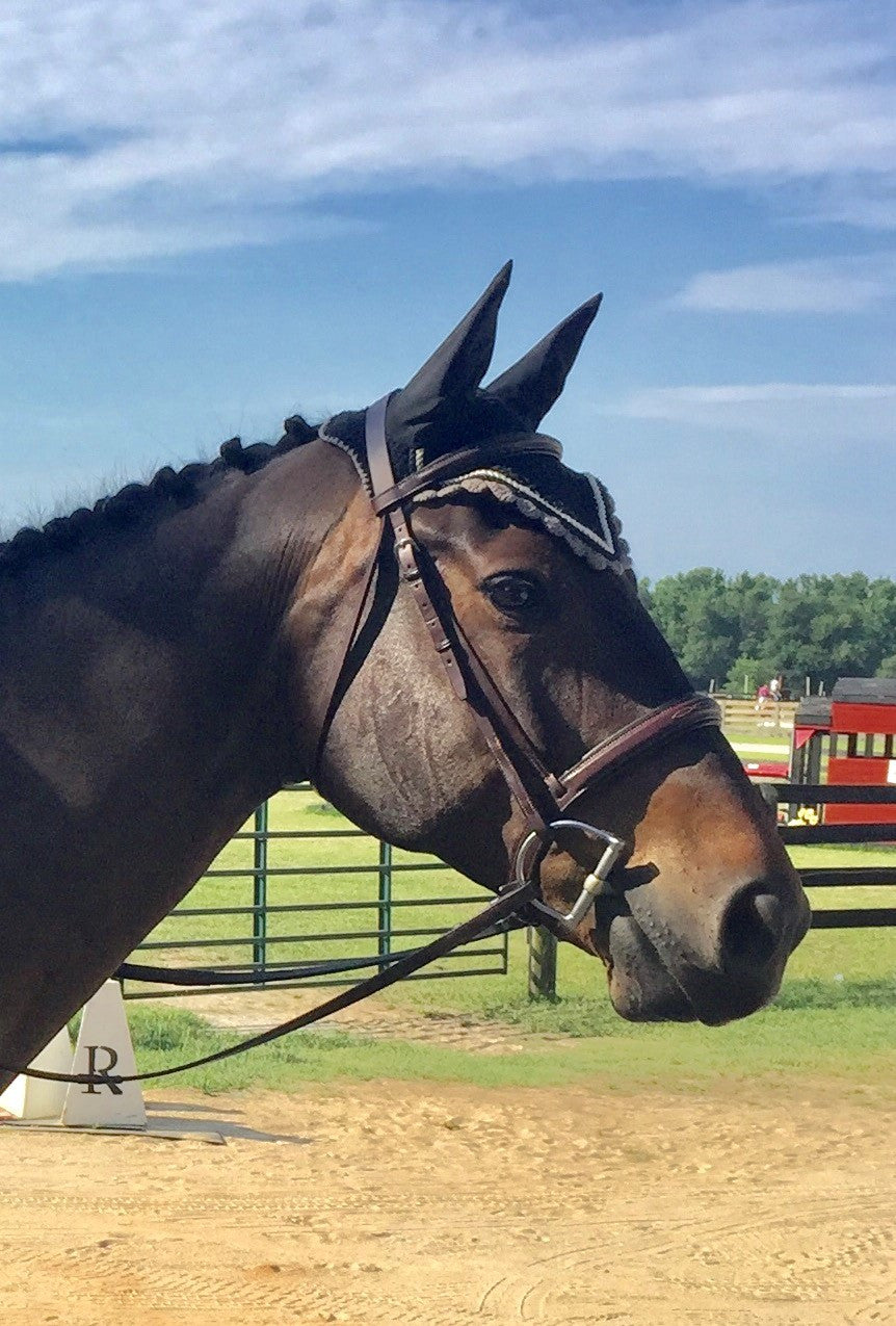 Edgewood Fancy Stitched, Raised, Padded Hunter Bridle 3/4"
