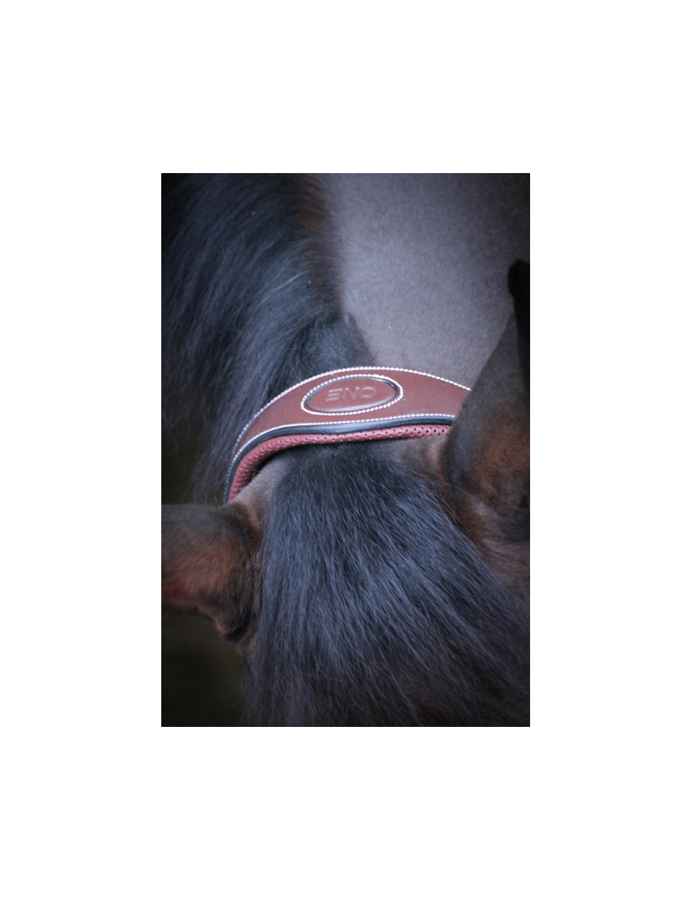 Jump'In Travel Rope Halter