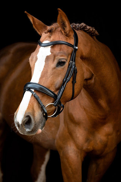 Montar Normandie Bridle CLEARANCE