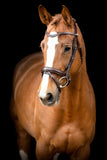 Montar Normandie Bridle CLEARANCE