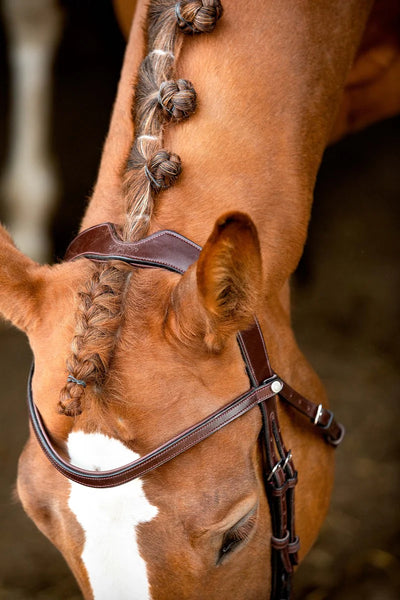 Montar Normandie Bridle CLEARANCE