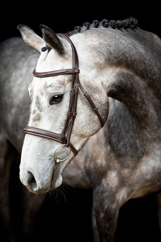 Montar Hunter Bridle--CLEARANCE