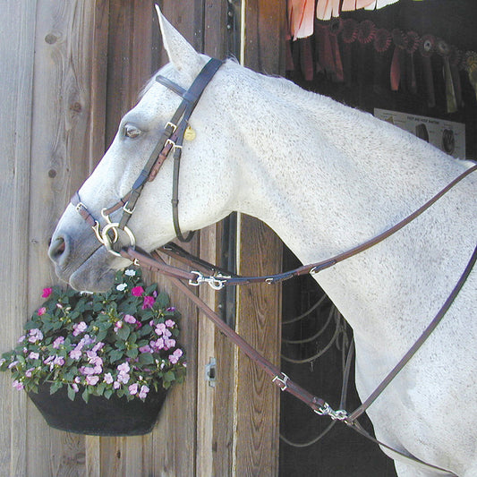 German Martingale Rein Set