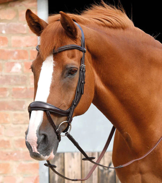 Premier Equine Savuto Anatomic Bridle with Crank Noseband and Flash- Last One!