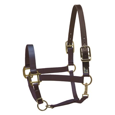 Perri's Nylon Safety Halter