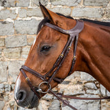 Dy'on Diffrence Poll Relief Bridle
