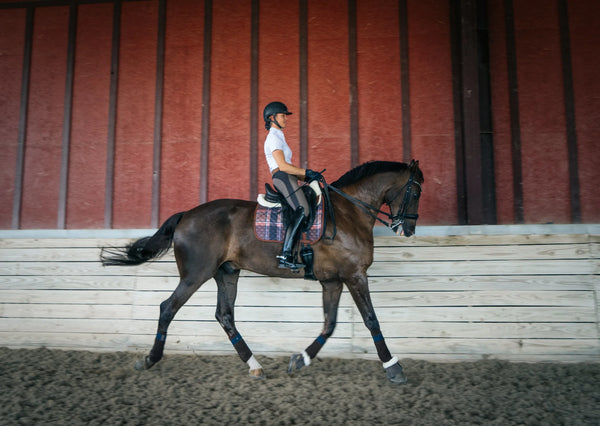 Sixteen Cypress Dressage Pad