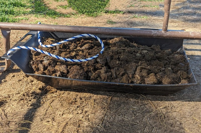 Burlingham Sports The Sled