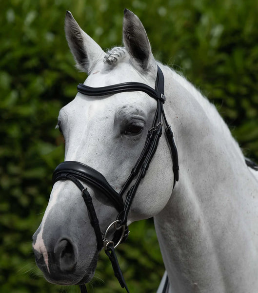 Premier Equine Rizzo Anatomic Snaffle Bridle with Flash