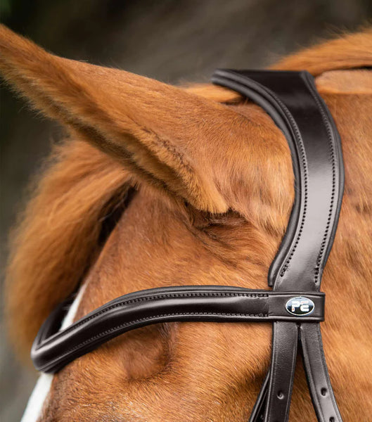 Premier Equine Glorioso Grackle Bridle