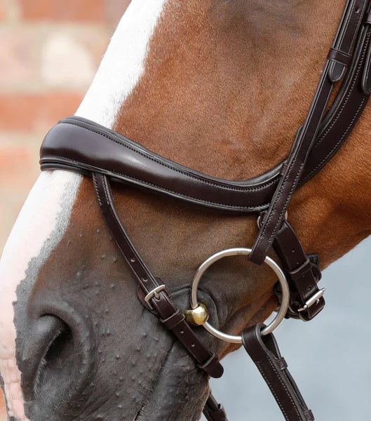 Premier Equine Savuto Anatomic Bridle with Crank Noseband and Flash