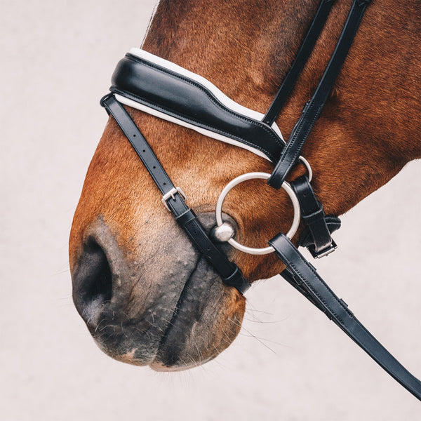 Schockemohle Stanford Dressage Bridle