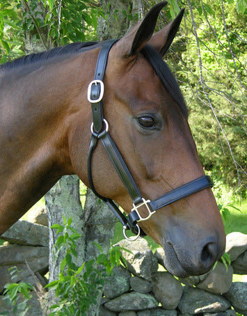 KL Oak Sycamore Leather Halter