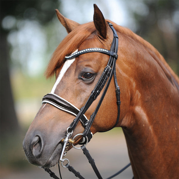 Kavalkade Weymouth "Antonia" Dressage Double Bridle