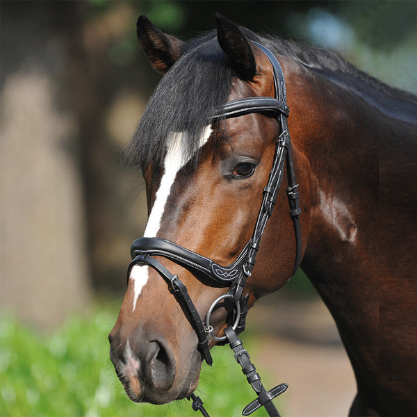 Kavalkade Ivy Dressage Bridle