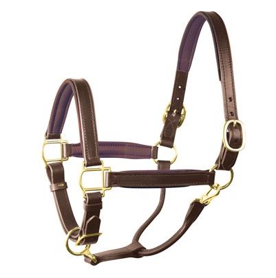 Perri's 1" Leather Padded Halter